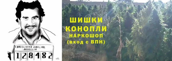 PSILOCYBIN Богородск