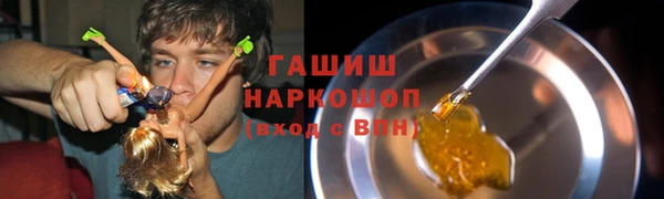 PSILOCYBIN Аркадак