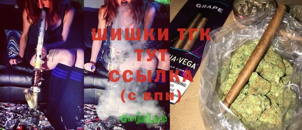 PSILOCYBIN Аркадак