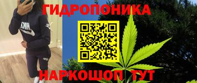 прущие грибы Янаул