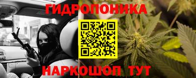 Альфа ПВП Ярославль