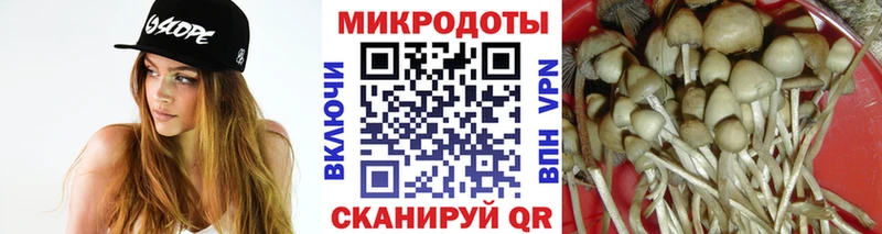 Галлюциногенные грибы MAGIC MUSHROOMS  Верхняя Салда 