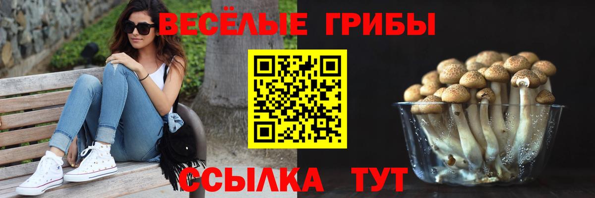 Галлюциногенные грибы прущие грибы Верхняя Салда